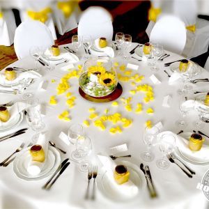 Hochzeit und Events | Referenzen