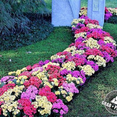 Grabpflege | Referenzen