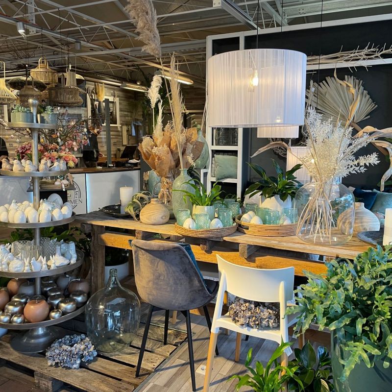 Pflanzen und Blumen im Blumenladen in Mülheim an der Ruhr
