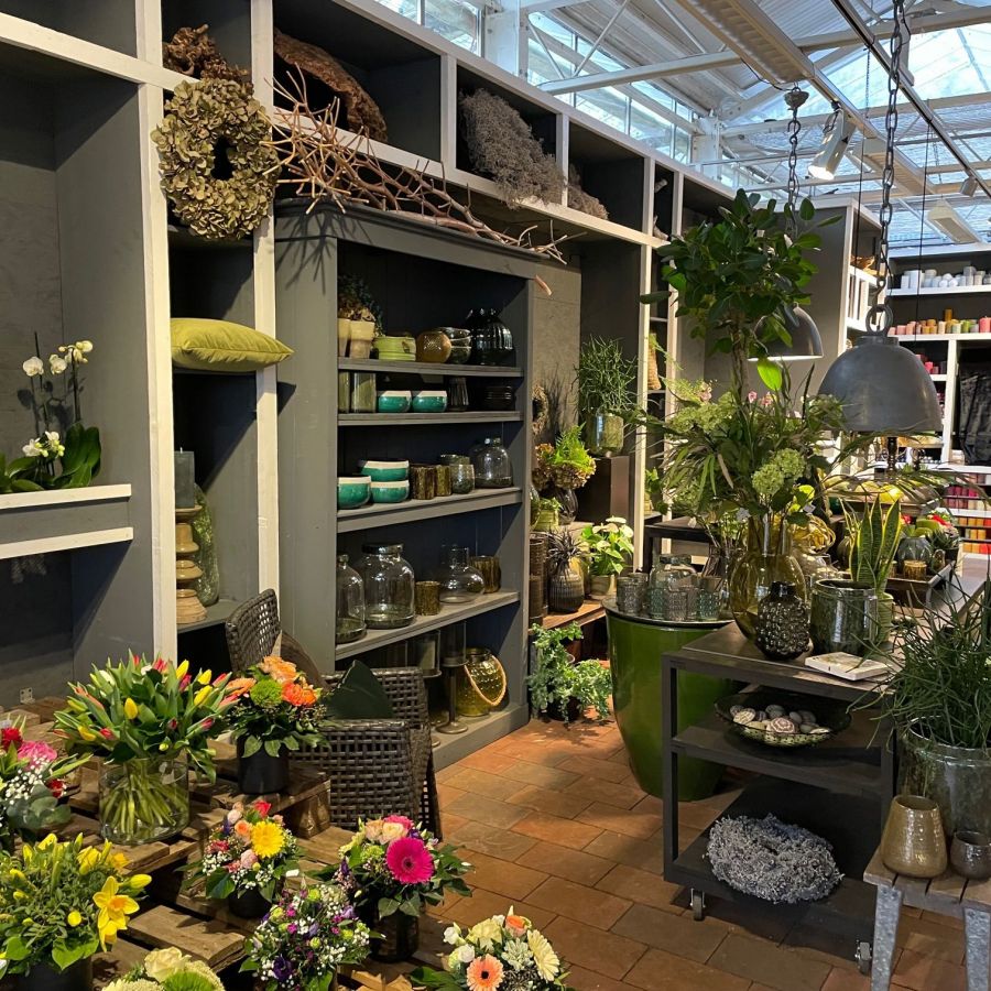 Blumenhaus Buhle Mülheim An Der Ruhr Pflanzen und Blumen im Blumenladen in Mülheim an der Ruhr